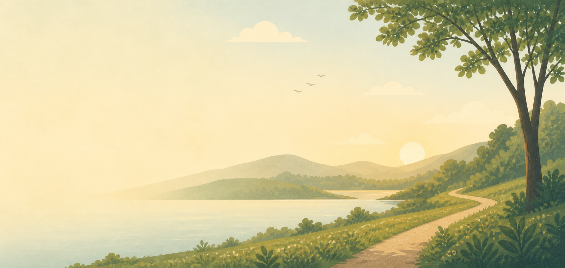 A calm landscape with a winding path, lake and tree used as a background illustration for early access signup.
